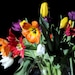 see more listings in the flower section