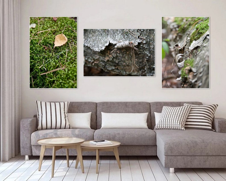 Autumn Forest wall art print Set of 3 Canvas fine art Home decor hall dining room Office Caffee macro nature 8x12 12x18 16x24 24x36 Big size image 1