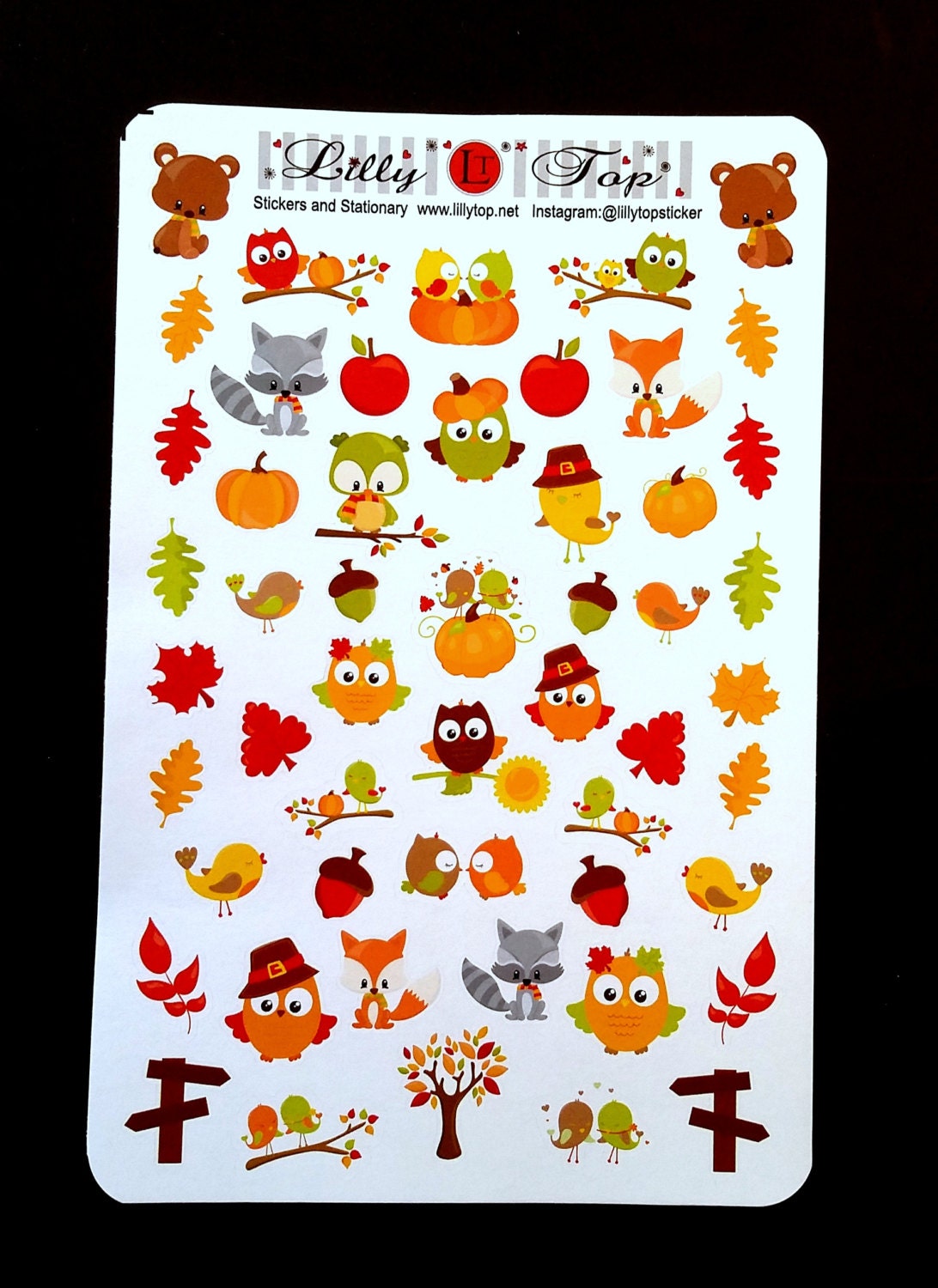 Fall, Owls, Fits all common Planners, Kiss Cut, Organizing Stickers, …