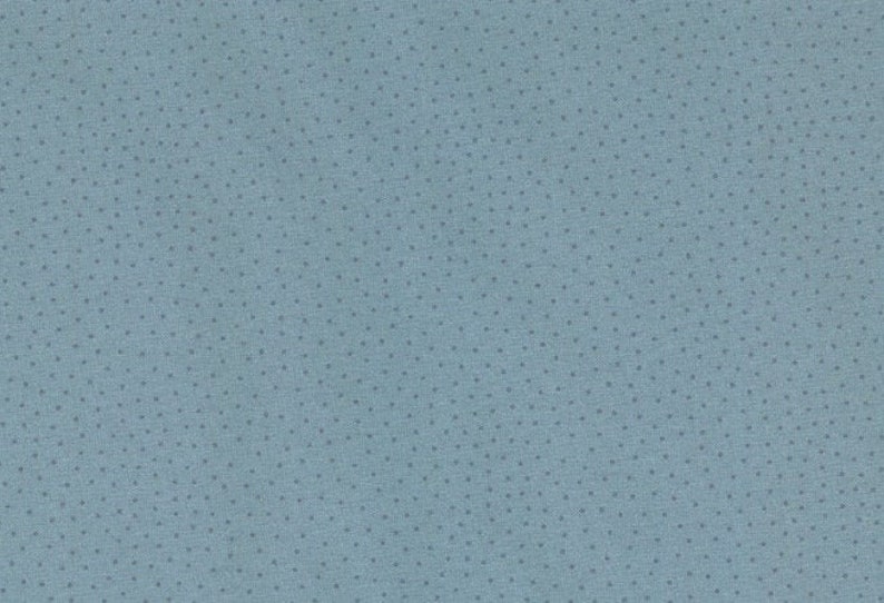 19,90 EUR/meter Westfalenstoffe kbA, princess blue small dots, cotton woven fabric image 1