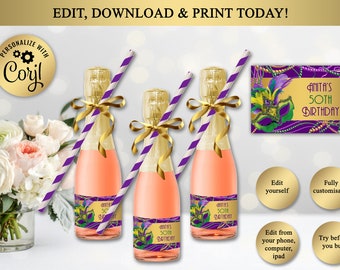 Mini Champagne Or Wine Bottle Labels, Party Decoration, Mardi Gras, Masquerade, 30th 40th 50th 60th 70th Birthday, Editable in Corjl, WB11