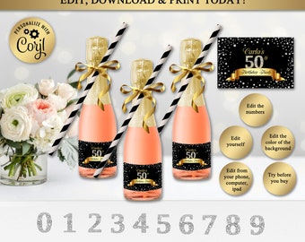 Mini Champagne Or Wine Bottle Labels, 2 x 3", Diamonds Label, Birthday, Party Decoration, Birthday Favors, Editable In Corjl, WB08