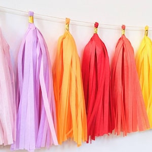 Rainbow tassel garland, rainbow banner, home office decor, dorm decor, balloon tail tassels, photo backdrop, cakesmash, image 6