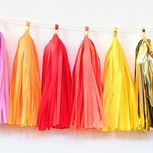 Rainbow tassel garland, rainbow banner, home office decor, dorm decor, balloon tail tassels, photo backdrop, cakesmash, image 4