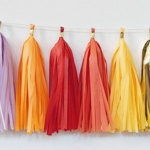 Rainbow tassel garland, rainbow banner, home office decor, dorm decor, balloon tail tassels, photo backdrop, cakesmash, image 2