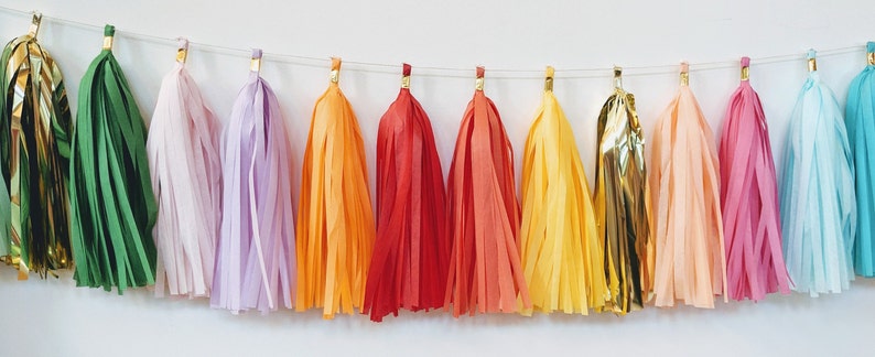 Rainbow tassel garland, rainbow banner, home office decor, dorm decor, balloon tail tassels, photo backdrop, cakesmash, image 2