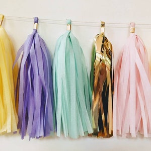 Spring pastel tassel garland, Ice cream party decor, Sweet One theme, ice cream tassel garland, Easter wall decor, Spring fling decor image 8