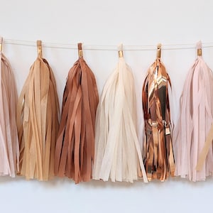 Boho blush tassel garland, Boho rainbow, boho wall decor, boho bedroom, dorm room decor, desert rose theme decor, boho chic banner