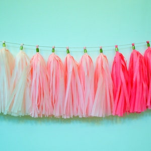Pink Ombre Tassel Garland - Bridal Shower Decor - Baby Girl  Tassel Garland - Girl Nursery Decoration - Pink Ombre Garland