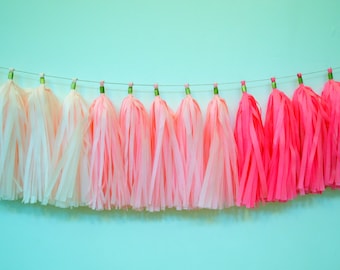 Pink Ombre Tassel Garland: Baby Shower, Nursery Decor