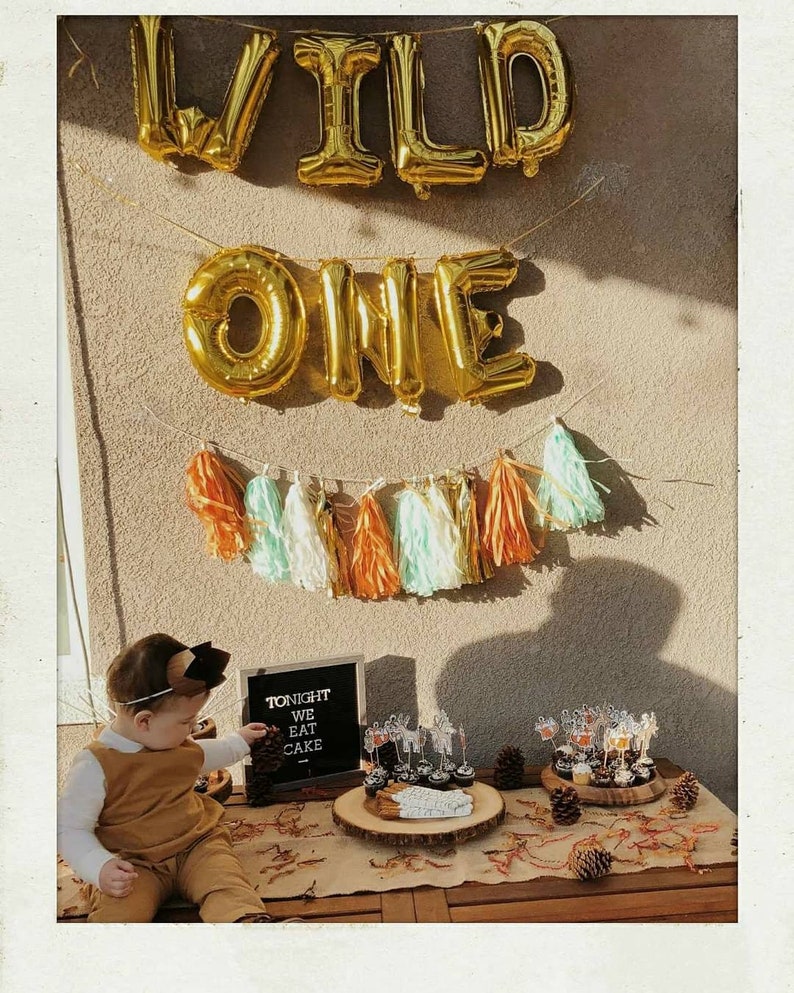 Where the wild things are party decor, wild things theme, wild one tassel banner, tassel garland, earth tones decor image 3