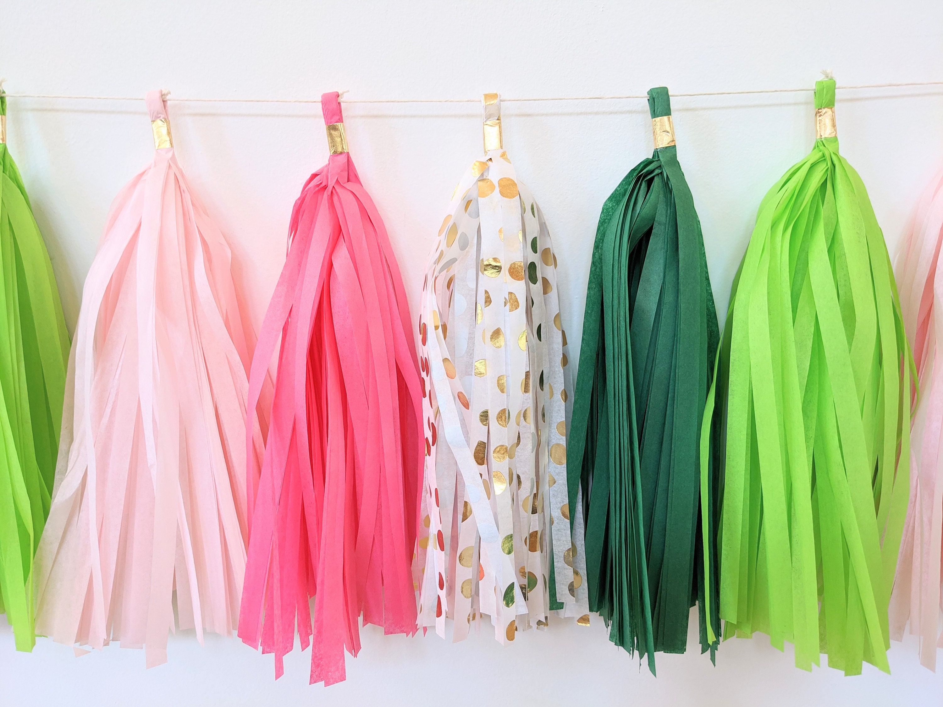 Balloon Tassel DIY Kit tassels Only Tissue Paper Tassel Tails for