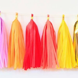 Rainbow tassel garland, rainbow banner, home office decor, dorm decor, balloon tail tassels, photo backdrop, cakesmash, image 5