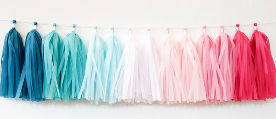Pink and blue on sale tassel garland