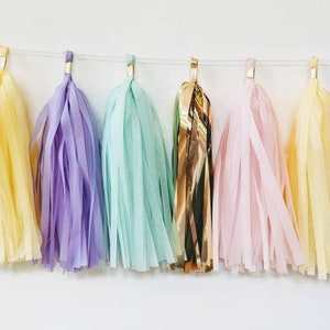 Spring pastel tassel garland, Ice cream party decor, Sweet One theme, ice cream tassel garland, Easter wall decor, Spring fling decor image 1