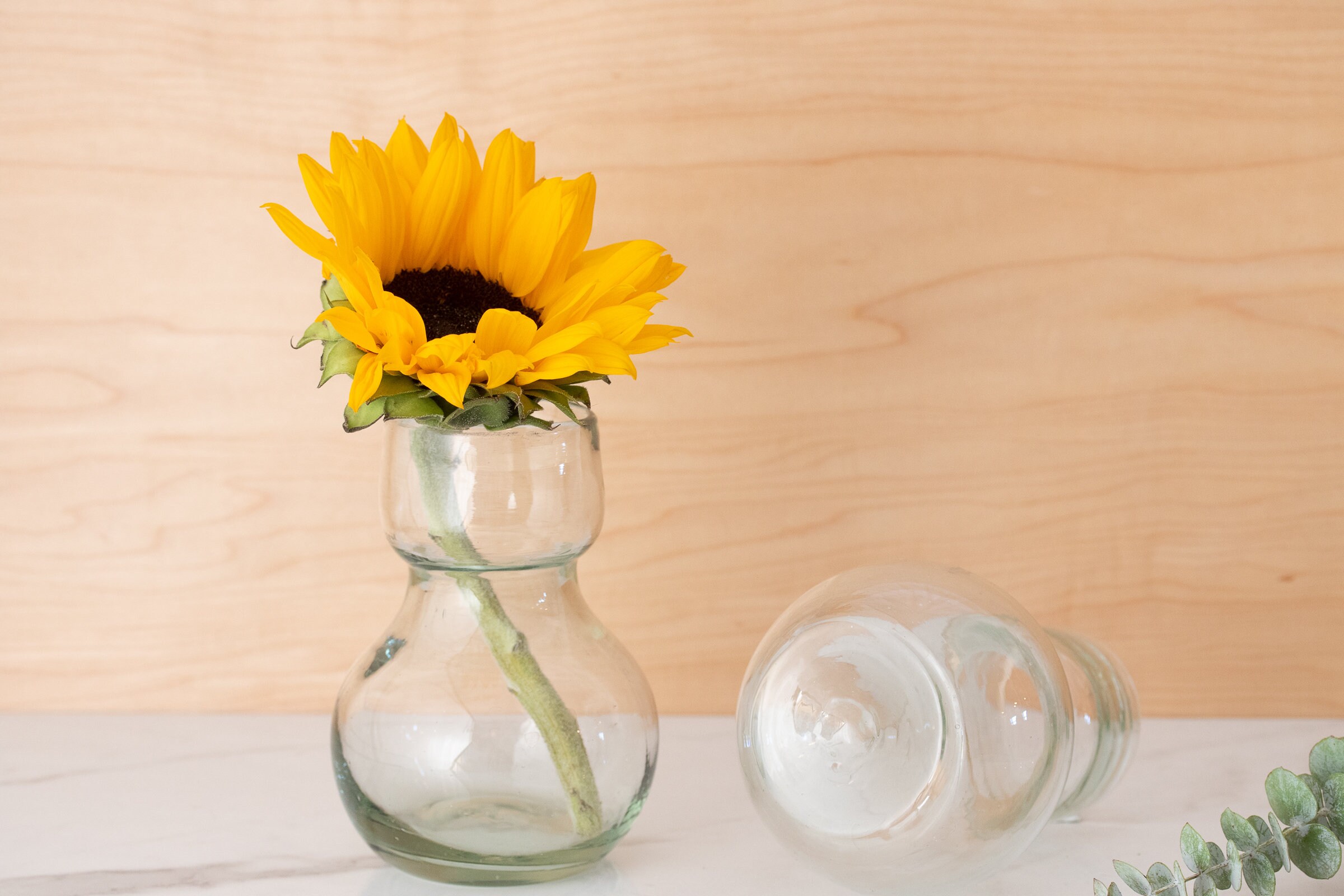 2 Hand Blown Glass Vases for Indoor Bulb Forcing Etsy