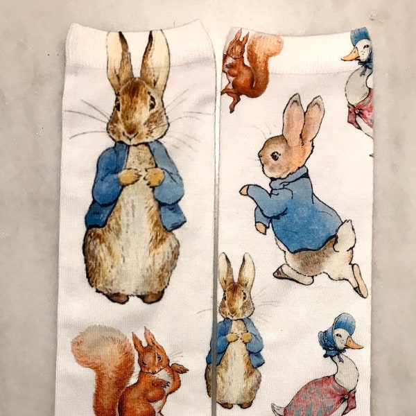 Peter Rabbit Sock | Storybook | Childhood Apparel | Children's stories