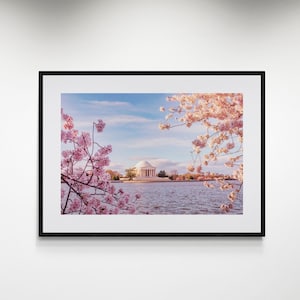 Framed Print Washington DC Cherry Blossoms, Elegant Pink Floral Art, Living Room Decor, Cherry Blossoms of Washington DC Print,