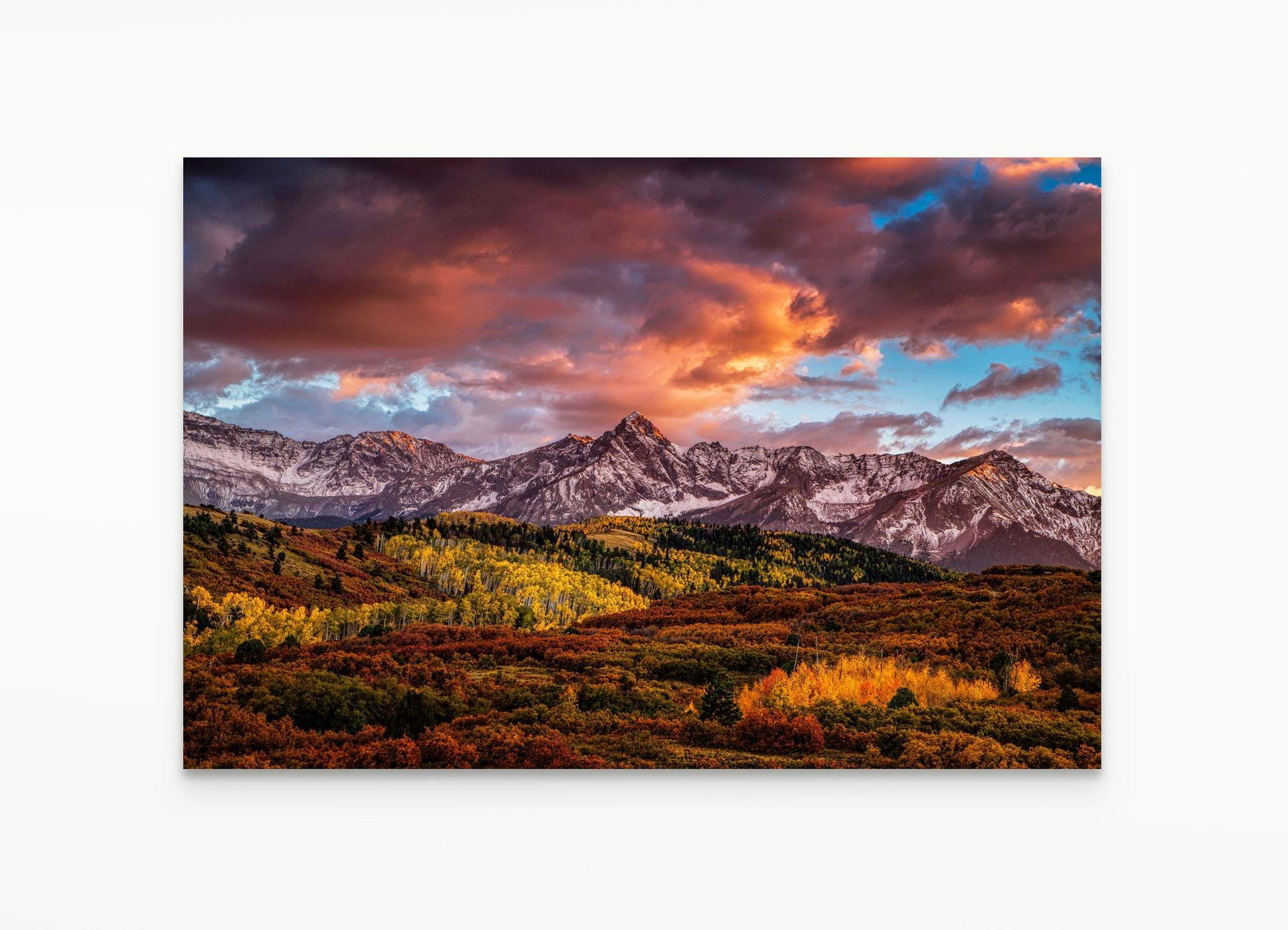 Colorado Fall Wall Art, Snowy Mountain Landscape Photo, Aspen Tree