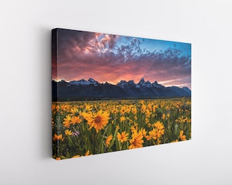 Grand Teton Canvas Wrap, Grand Teton Photography, National Park Photography, Teton Wildflowers, National Park Art Prints, Teton Canvas