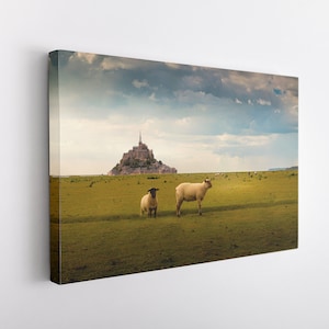 France, Mont Saint Michel, Sheep, France Canvas Print, Mont Saint Michel Photography, Normandy, Rural France, France Photo