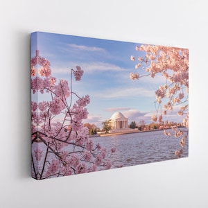 Washington DC Cherry Blossoms Canvas Wrap, Jefferson Memorial Print, DC Cherry Blossom, DC Print, Jefferson Memorial Canvas Wrap