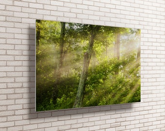 Blue Ridge Mountains Metal Print, Blue Ridge Photography, Forest Photography, Blue Ridge Mountains, National Park Art Prints, Blue Ridge