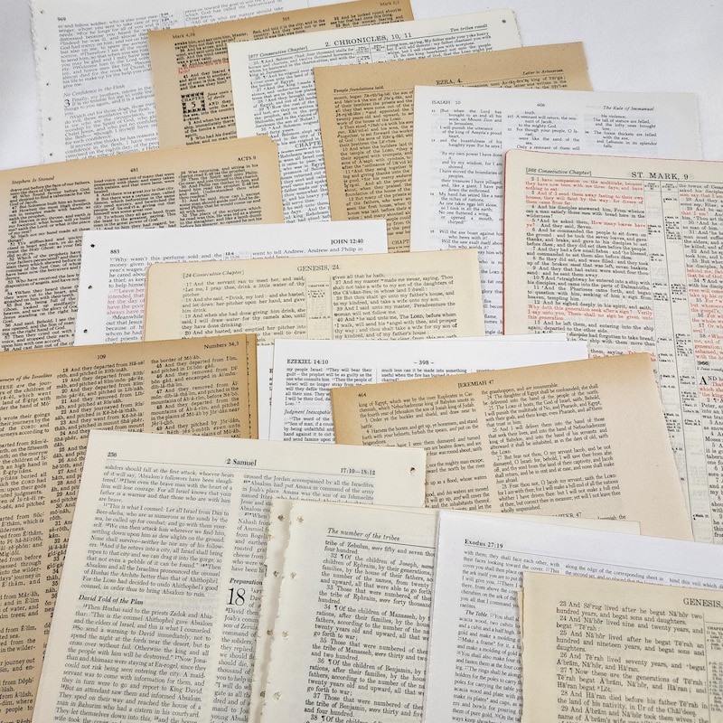 God #39 s Word for Students Etsy God #39 s Word for Students Etsy