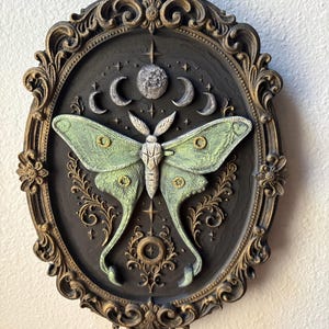 May include: An oval wall hanging featuring a large, light green moth with textured wings centered in a dark, ornate, antique-style gold frame. Above the moth are silver moon phases and stars, with decorative scrollwork and small gold accents below.
