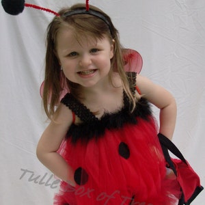 Adorable Little LadyBug Tulle Costume/Halloween Costume/Dress up Clothes/Birthday Gift/Tutu Costume/Tulle Costume/Birthday Party