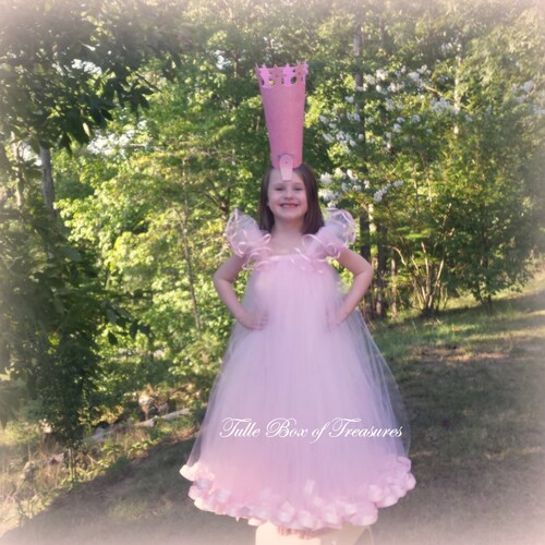 Good Witch Pink Fairy tutu costume ensemble shops
