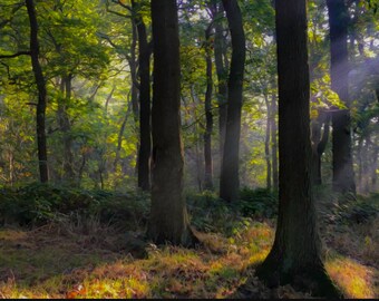 deep forest etsy
