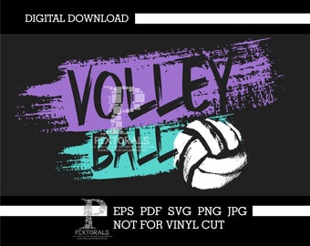 Volleyball logo, painted, digital download, eps, pdf, svg, jpg, png, vector, Clip art, tee design, screen printing, dtf