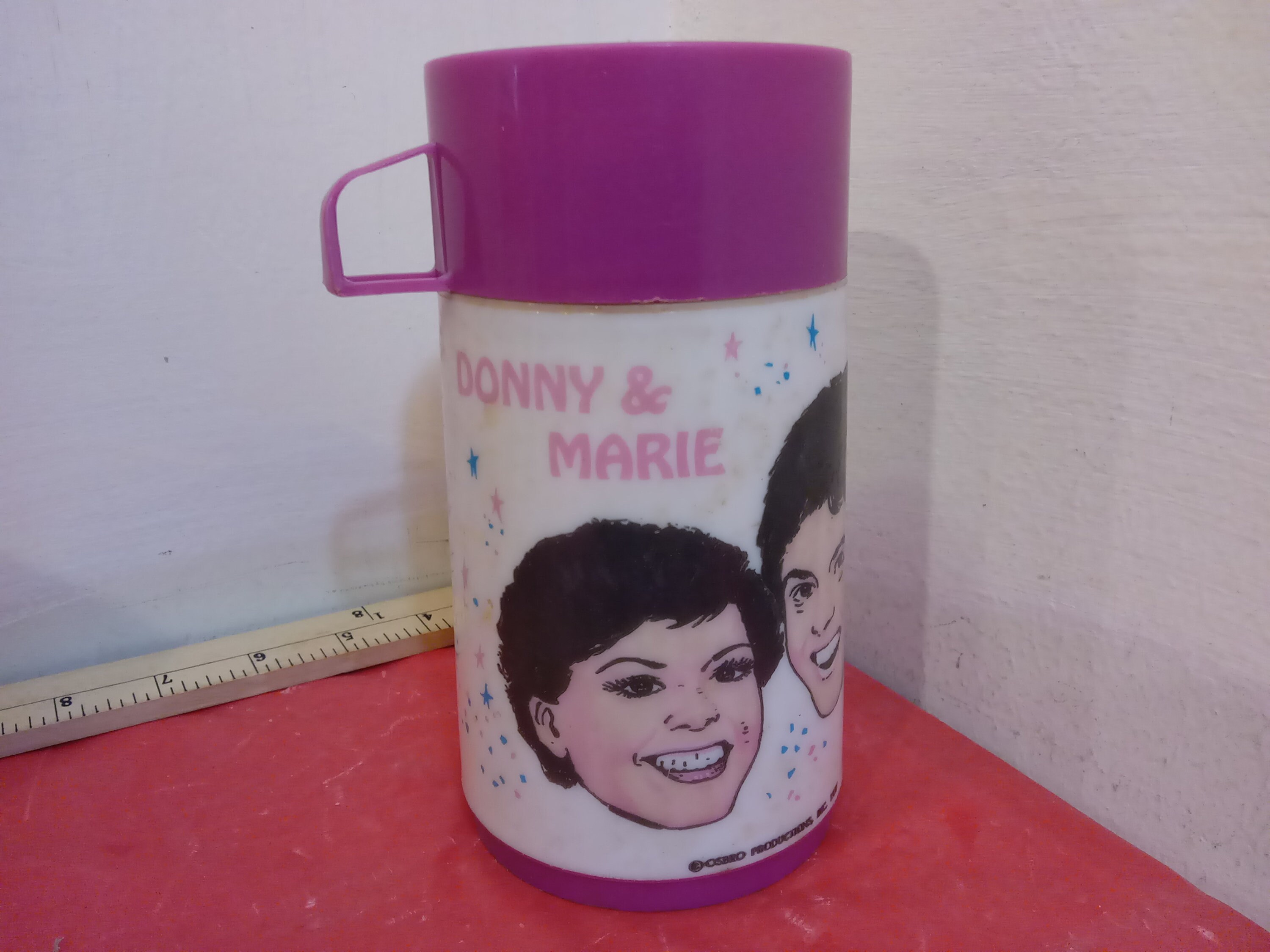 Vintage Thermos, Donnie and Marie Osmond, Aladdin Thermos, 1977