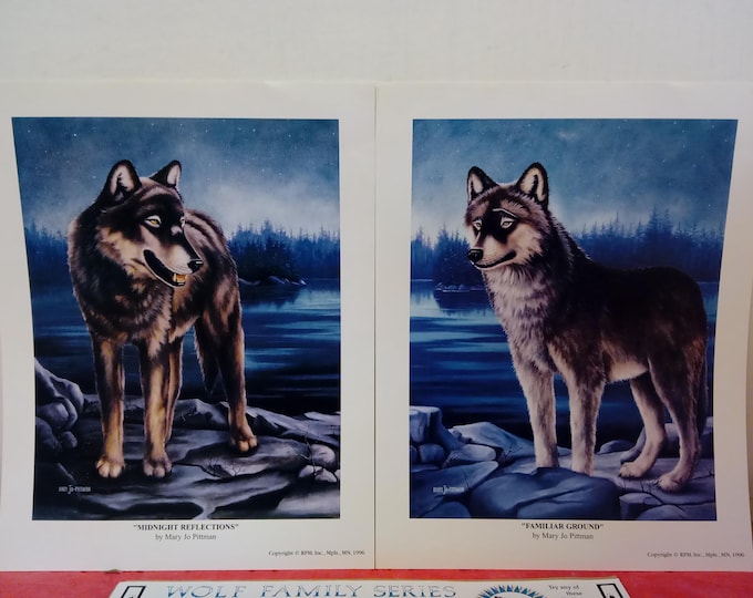 Vintage Art Prints for Framing, Night Trackers/Phantom of the Plain or Familiar Ground/Midnight Reflections by Mary Jo Pittman, 1996#