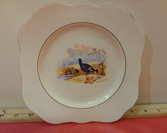 Vintage Bone China Desert Plate by M & R Made in England, Pheasant with Babies with Gold Trim, H. Colclough 1940