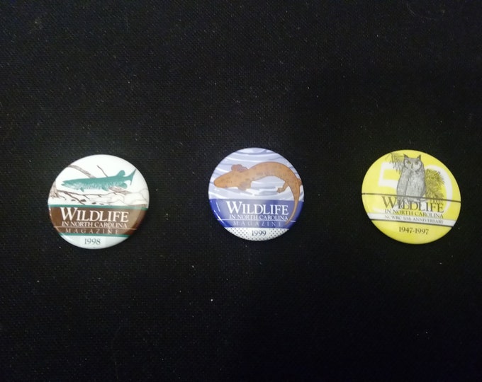 Vintage Pinback Pins, Wildlife in North Carolina, Salamander, Owl, and Muske, #P