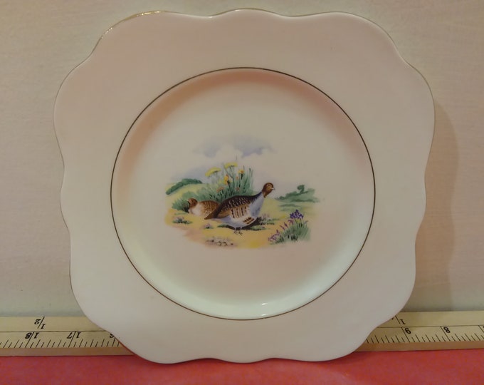 Vintage Bone China Desert Plate by M & R Made in England, Quail in Field with Gold Trim, H. Colclough 1940