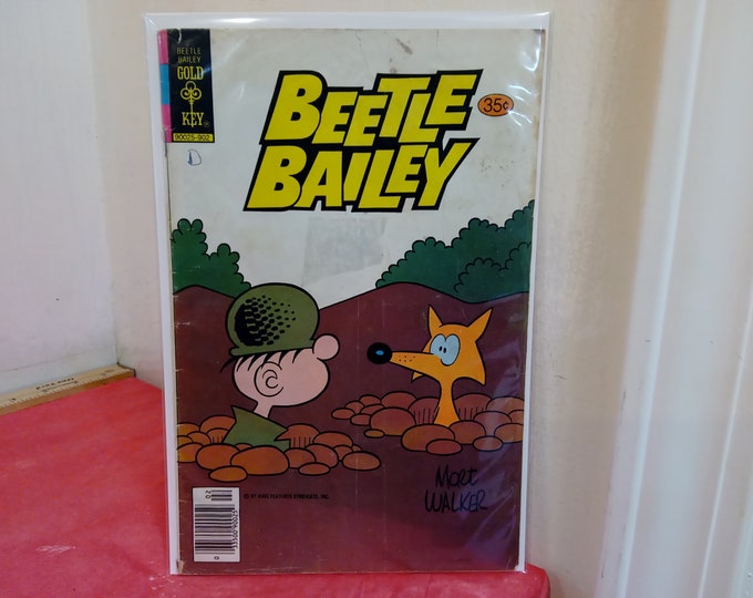 Vintage Comic Books, Gold Key Comics, Tweety and Sylvester, Walt Disney Showcase "Herbie", Walt Disney Donald Duck, & Beetle Bailey, 1970's