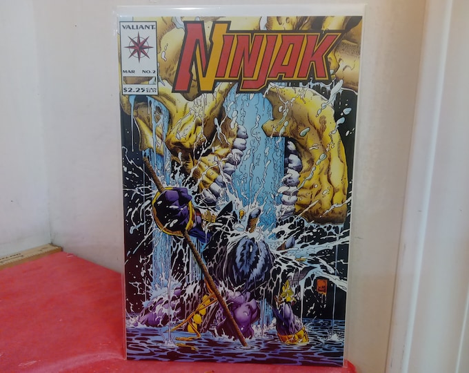 Vintage Valiant Comic Books, Ninjak and Eternal Warrior, 1990's