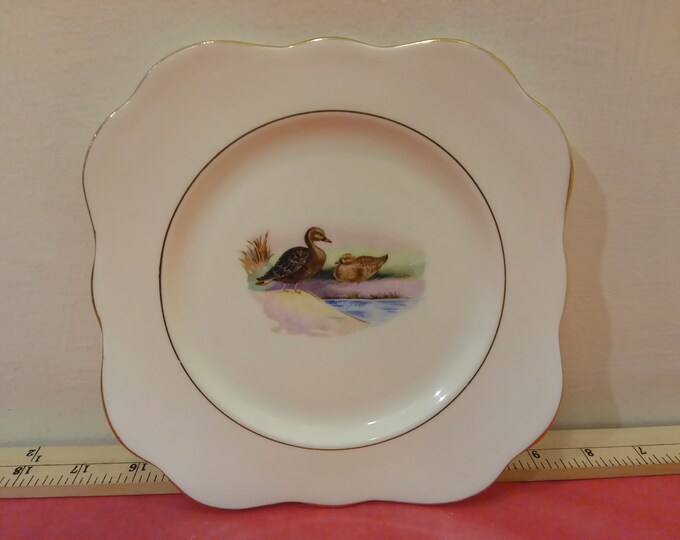 Vintage Bone China Desert Plate by M & R Made in England, Duck with Duckling by Pond with Gold Trim, H. Colclough 1940