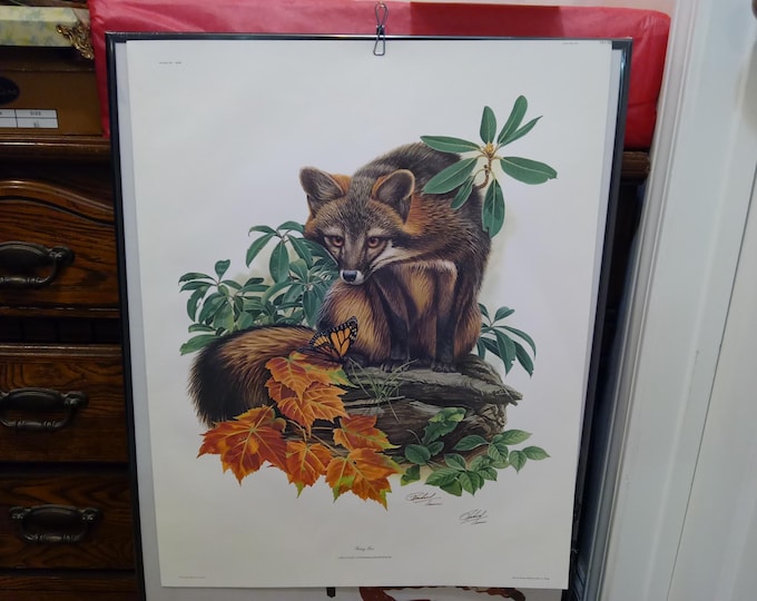 Vintage Art Print, Grey Fox by Richard Timm, Plate XIX of the Series, 1 of 5000, 1970's