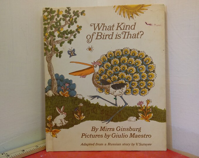 Vintage Hard Cover Book, What Kind of Bird is That? by Mirra Ginsburg , 1973