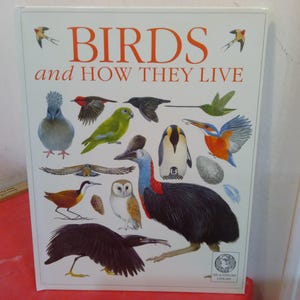 May include: A book cover titled "BIRDS and HOW THEY LIVE" with illustrations of various bird species. The cover features a diverse array of birds, including a penguin, owl, and kingfisher, in vibrant colors. The book is set against a white background.