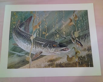Vintage Art Prints for Framing, Wildlife Prints of Deer, Fish, Pheasants, Hunters and Dogs, Remington Wildlife Art Collection and Others