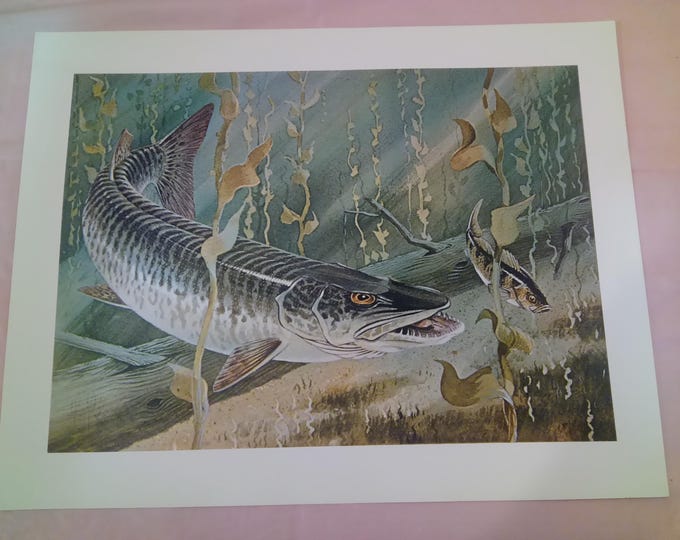 Vintage Art Prints for Framing, Wildlife Prints of Deer, Fish, Pheasants, Hunters and Dogs, Remington Wildlife Art Collection and Others