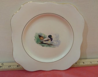 Vintage Bone China Desert Plate by M & R Made in England, Duck with Duckling by Lake with Gold Trim, H. Colclough 1940