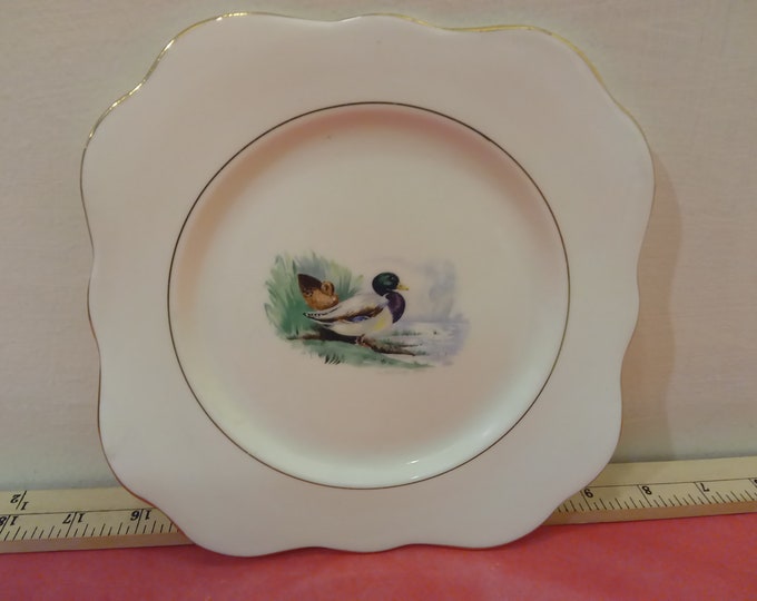 Vintage Bone China Desert Plate by M & R Made in England, Duck with Duckling by Lake with Gold Trim, H. Colclough 1940