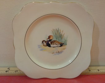 Vintage Bone China Desert Plate by M & R Made in England, Duck with Duckling with Gold Trim, H. Colclough 1940