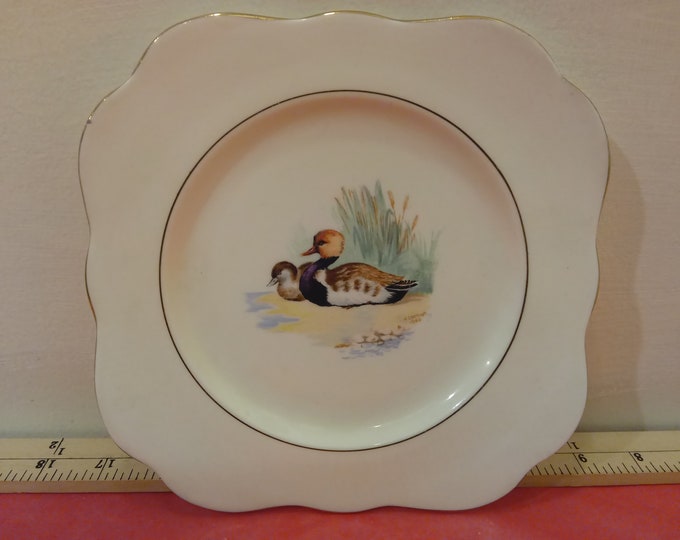 Vintage Bone China Desert Plate by M & R Made in England, Duck with Duckling with Gold Trim, H. Colclough 1940